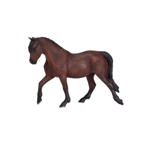 Cavalo Percheron - XL