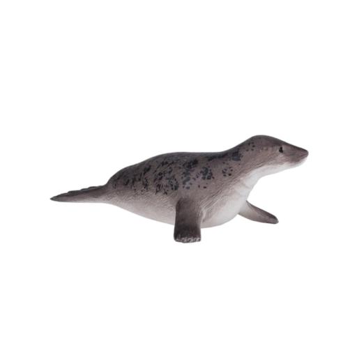 Foca Cinzenta | L