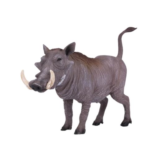 Javali Africano | L