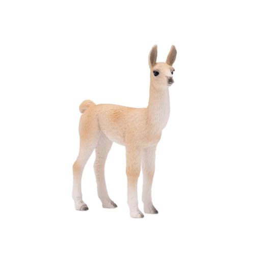 Lama filhote | M