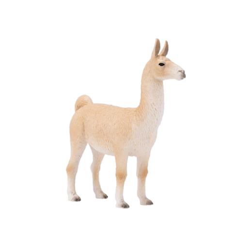 Lama | L
