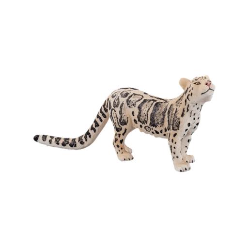 Leopardo das Neves | L