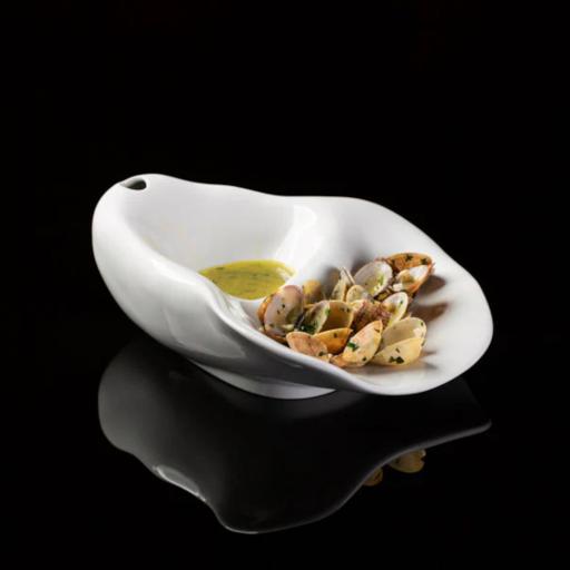 Mollusca do Atlântico