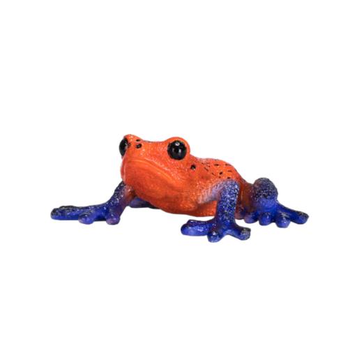Sapo Venenoso | M