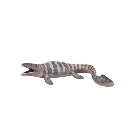 Tylosaurus | XL
